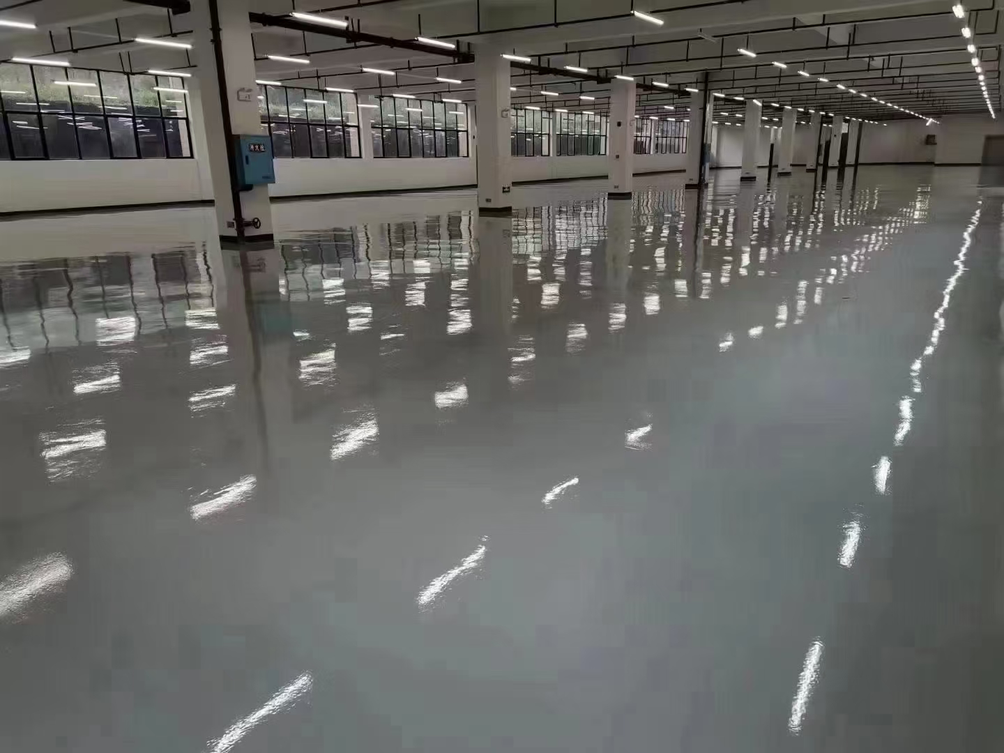 1691057098118349.jpg 1691057098118349.jpg