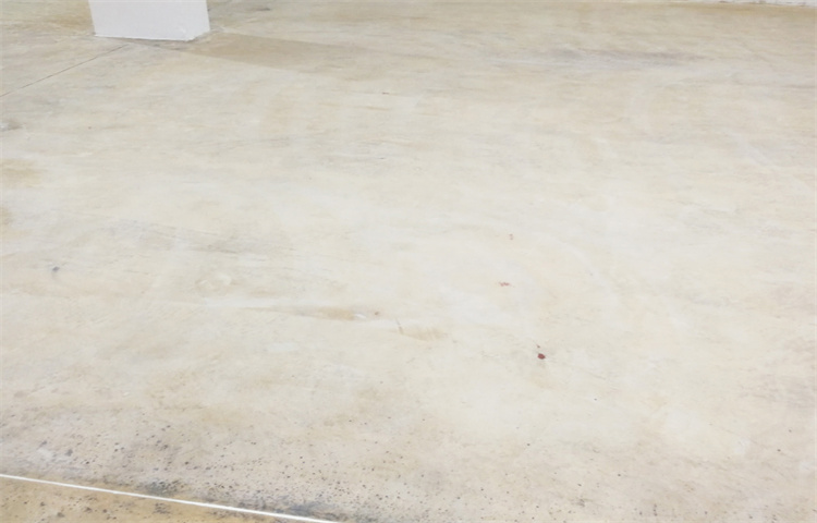 1695783522446945.jpg 1695783522446945.jpg